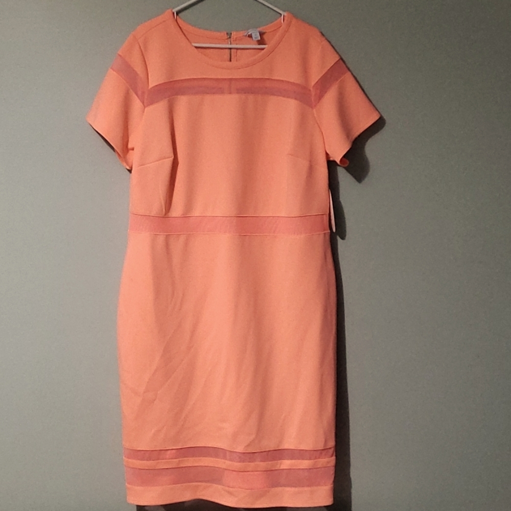 Women's 2X dress